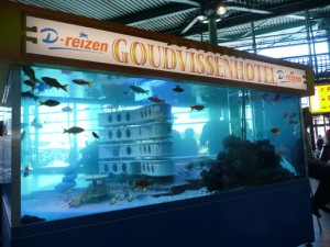 goudvissenhotel